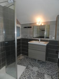 a bathroom with a sink and a shower at LA GERMENIERE in Avessé +13 photos