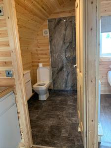 a bathroom with a toilet in a wooden cabin at Pond View Pod 2 with Private Hot Tub -Pet Friendly- Fife - Loch Leven - Lomond Hills in Kelty