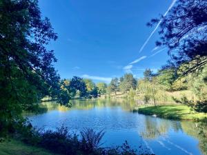 una vista di un lago con alberi sul lato di Morvan La Pastourelle a Quarré-les-Tombes
