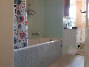 een badkamer met een bad en een douchegordijn bij Central and cosy apartment tramstrasse 8050 Zürich in Zürich