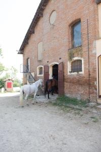 dos caballos parados fuera de un edificio de ladrillo en Agriturismo Montevecchio Isolani, en Monte San Pietro