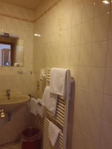 Koupelna v ubytování Hotel Waldblick BSR Garten mit Pavillons im Schwarzwald, ideal für Paare, Familien, Hunde