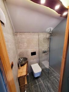 a small bathroom with a toilet and a shower at Vineyard Cottage Sončni grič in Mirna