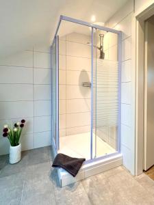 um chuveiro com uma porta de vidro na casa de banho em Stadtherz Lingen em Lingen