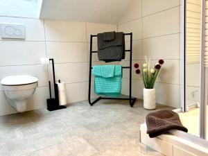 uma casa de banho com um WC e uma cabina de duche em vidro. em Stadtherz Lingen em Lingen
