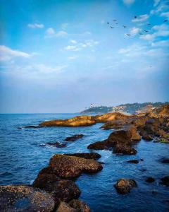 a group of birds flying over the ocean with rocks at Annie's Villa in Kovalam