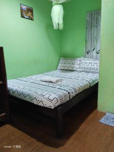 a small bed in a room with green walls at Edsan Apartment in Bantayan Island