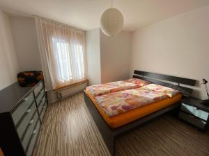 1 dormitorio con 1 cama, vestidor y ventana en Disentis-Ferien, en Disentis