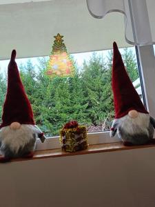 two gnomes sitting on a window sill looking at a christmas tree at Leśne Zacisze in Weremień