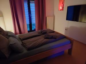 - un lit dans une chambre avec fenêtre dans l'établissement Das Tor zur Rhön, 