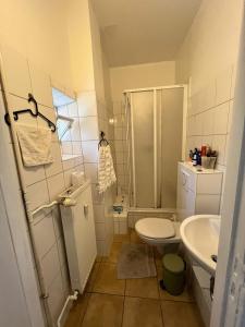 a bathroom with a shower and a toilet and a sink at Hotel Sigma in Selynė