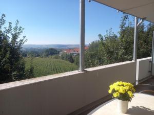 eine Vase mit Blumen auf einem Tisch auf einem Balkon in der Unterkunft Wellness Ferienwohnung mit Bademantelgang zur Therme in Bad Griesbach