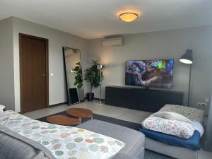 馬德里的住宿－Lujoso Loft La Moraleja，客厅配有床和平面电视