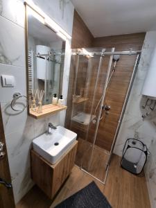 Ένα μπάνιο στο Luxury Apartment Borovi 2