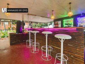 un bar con taburetes rosas frente a un mostrador en OYO Arpora Baga, en Baga