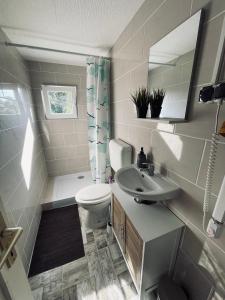 a bathroom with a toilet and a sink and a mirror at Felhőfészek vendégház in Verőce