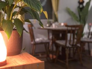 a plant in a vase sitting on a table at Felhőfészek vendégház in Kismaros