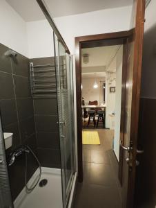 Koupelna v ubytování Apartment Stelvio