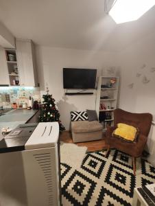 TV a/nebo společenská místnost v ubytování Apartment Stelvio