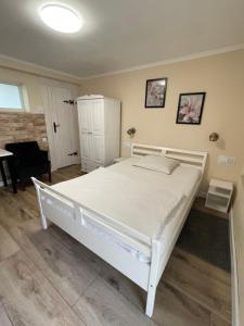 a bedroom with a large white bed in a room at Villa Pod Orzechem w Zaniemyślu in Zaniemyśl