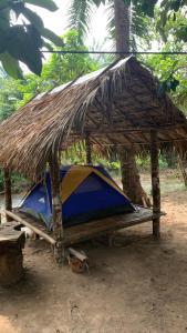 une tente avec un toit en paille au-dessus dans l'établissement สวนบุศรา ลานกางเต็นท์วิถีเกษตร, à Ban Bok Fai
