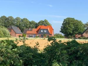 ein Haus mit einem orangenen Dach auf einem Feld in der Unterkunft Ferienhaus Meereslust in Petersdorf auf Fehmarn