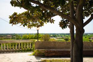 a tree sitting next to a park bench at Residenza Giancesare Family Apartments in Paestum