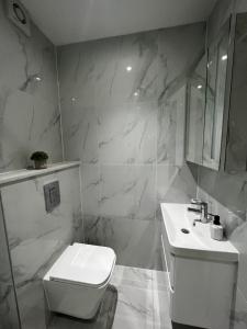 a white bathroom with a toilet and a sink at Dralda House in Buckinghamshire