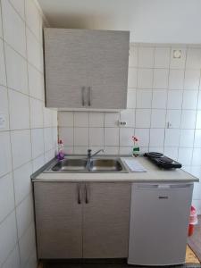 uma cozinha com um lavatório e uma bancada em Apartments Mountain Joy em Travnik