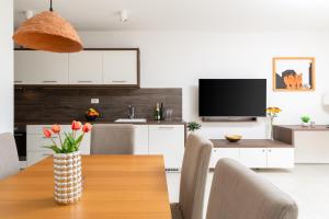 TV a/nebo společenská místnost v ubytování Villa Jolara With Heated Pool - Deluxe Apartment 8
