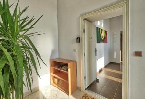 a hallway with a mirror and a plant at Apartment Ken near Terme Paradiso in Dobova