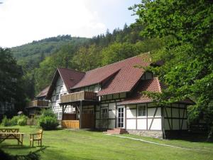 une maison blanche et noire avec une pelouse dans l'établissement Ferienwohnung Nexö, 85 qm, 3 Schlafzimmer N2, à Ilsenburg