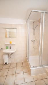 een badkamer met een douche en een wastafel bij Ferienwohnung Nexö, 45 qm, 1 Schlafzimmer N5 in Ilsenburg