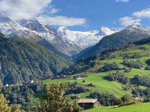 un valle verde con montañas cubiertas de nieve en el fondo en Disentis-Ferien, en Disentis