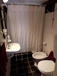 ein Bad mit einem WC, einem Waschbecken und einer Dusche in der Unterkunft Habitación en villa neo victoriana con piscina in Mar del Plata