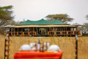a green tent with a table in a field at Ndoto Serengeti Camp in Serengeti