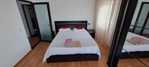 ein Schlafzimmer mit einem Bett und einem Spiegel in der Unterkunft Apartament Silvia in Mangalia
