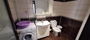 ein Badezimmer mit Waschbecken, Waschmaschine und Toilette in der Unterkunft Apartament Silvia in Mangalia + 19 Fotos