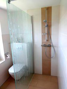 y baño con aseo y cabina de ducha de cristal. en Ferienhaus Mecklenburgische Seenplatte, 
