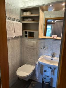 ein Bad mit einem Waschbecken und einem WC in der Unterkunft Alpina Boutique Hotel Ringgenberg in Ringgenberg