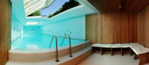 a bath room with a swimming pool with at Hotel Restaurant Le Carina in Gap