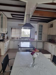 a kitchen with a table with a vase of flowers on it at Villa in Trilofos-close to the beach in Thessaloniki