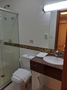 a bathroom with a toilet and a sink and a shower at Hotel Praça da Matriz in Porto Alegre