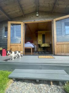 a dog sitting on the porch of a house at Glamping Huts x 3 and a Static Caravan available each with a Private Hot Tub, FirePit, BBQ and are located in a Peaceful setting with Alpacas and gorgeous countryside views on Anglesey, North Wales in Amlwch