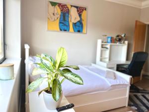 una camera da letto con una pianta in vaso seduta su un tavolo di IFSC Room a Dublino