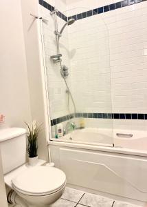 a bathroom with a toilet and a bath tub at IFSC Room in Dublin