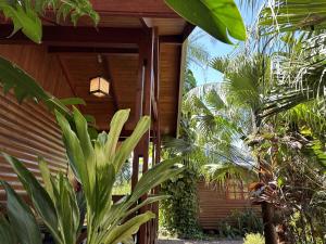 Terra Lodge في بويرتو إجوازو: منزل خشبي أمامه نباتات
