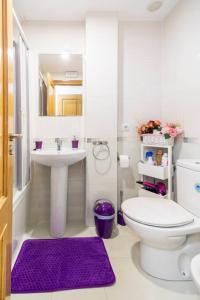 a bathroom with a white toilet and a sink at Pension Myriam O PEDROUZO in O Pedrouzo