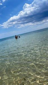 Foto dalla galleria di Luxury villa with a heated indoor pool and direct access to the beach a Nabeul