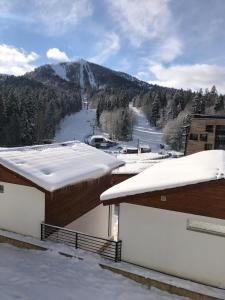 a view of a ski resort with snow covered roofs at Bakuriani - Kokhta Gora in Bakuriani